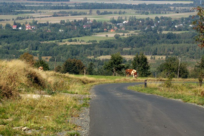 po-piekne-widoki-jak-po-stole-23371