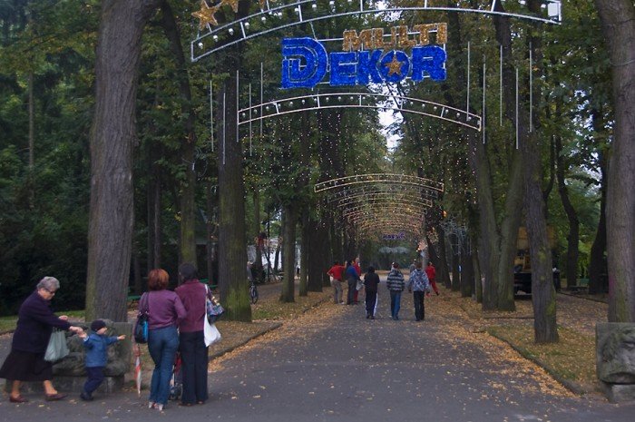 w-cieplicach-jak-w-swiatecznej-bajce-23385