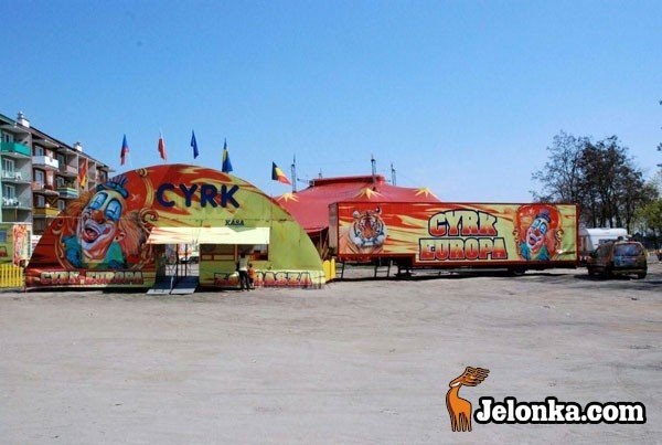 cyrk-europa-w-jeleniej-gorze-mamy-bilety-23392