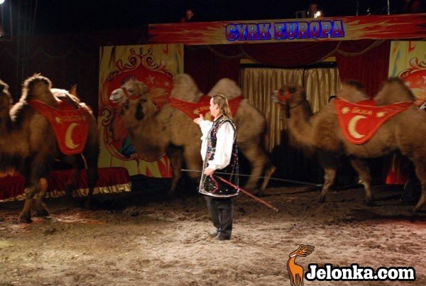 cyrk-europa-w-jeleniej-gorze-mamy-bilety-23392
