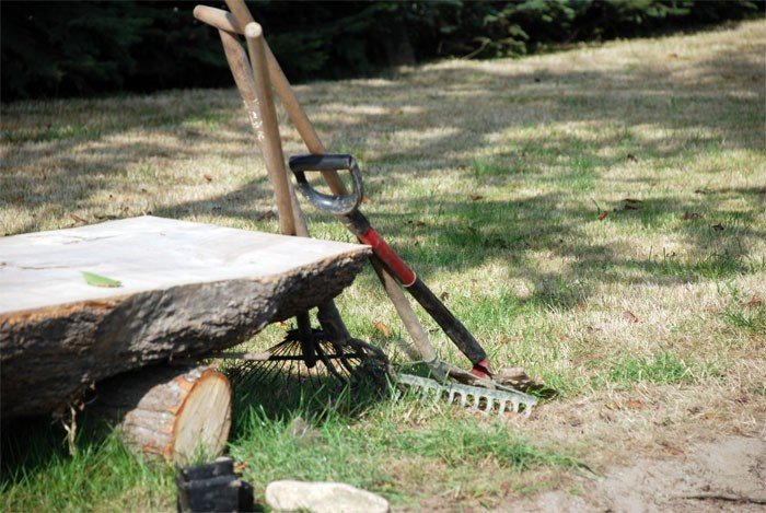 maolat-pladrowa-dziaki-23419