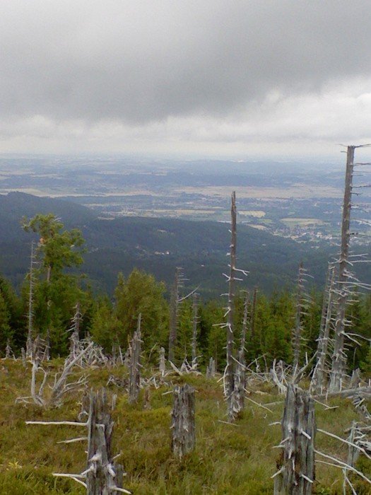 zdjecie-miesiaca-konkurs-trwa-23467