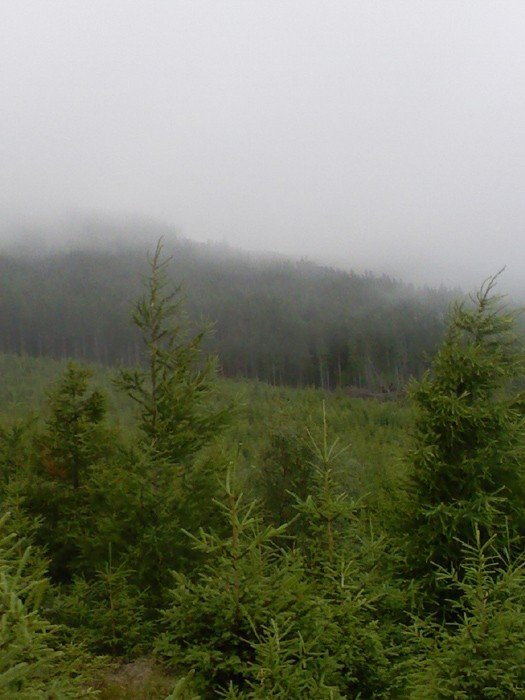 zdjecie-miesiaca-konkurs-trwa-23467
