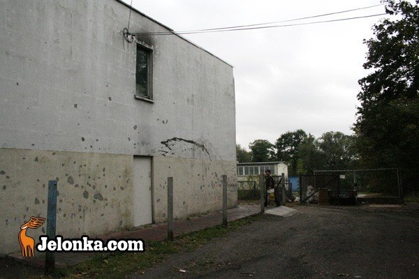 hotel-jak-chlewnia-23489