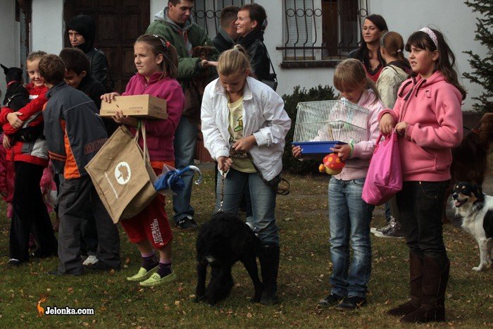 zwierzeta-pod-swieconym-prysznicem-23537