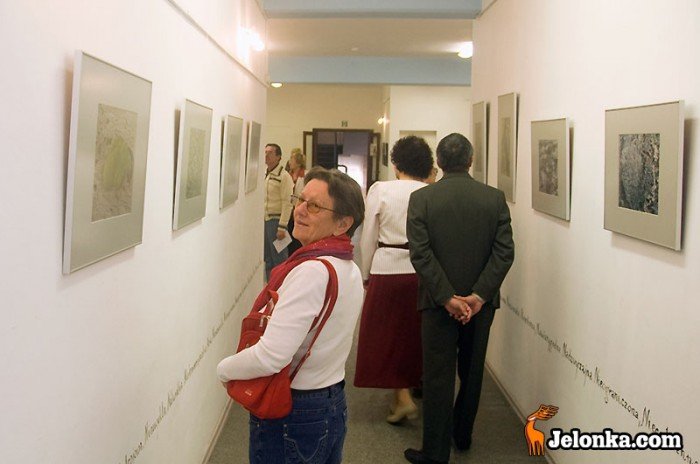 zblizenia-ziemi-po-upadku-23641