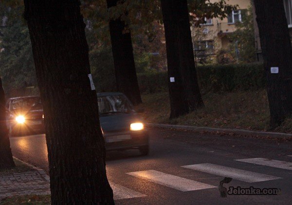 deby-czekaja-na-sciecie-23802