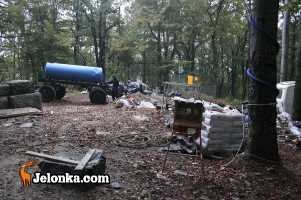 remont-grzybka-na-pometku-23823