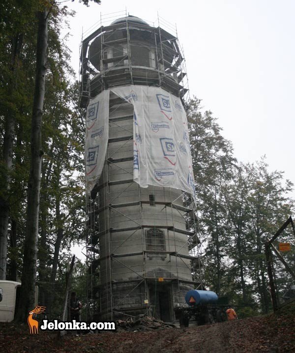 remont-grzybka-na-pometku-23823