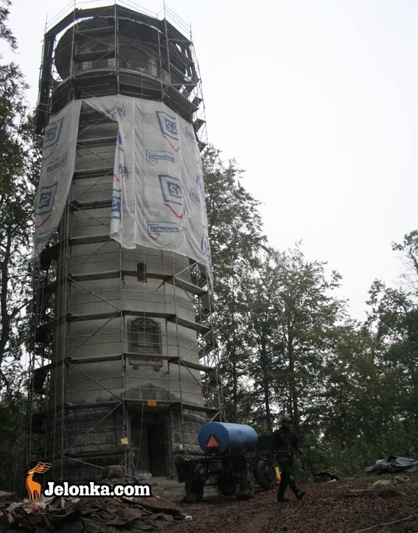 remont-grzybka-na-pometku-23823