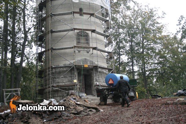 remont-grzybka-na-pometku-23823