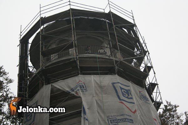 remont-grzybka-na-pometku-23823