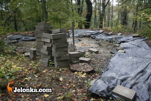 remont-grzybka-na-pometku-23823