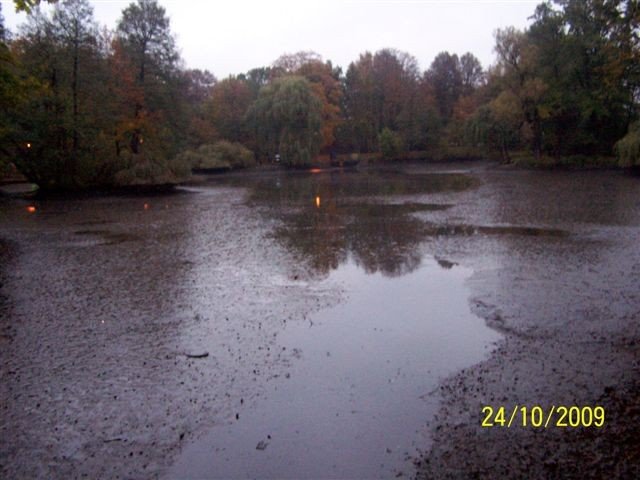 wedkarze-posprzatali-staw-23909