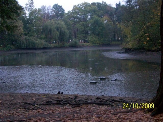 wedkarze-posprzatali-staw-23909
