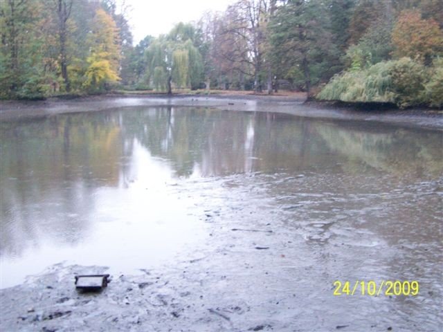 wedkarze-posprzatali-staw-23909