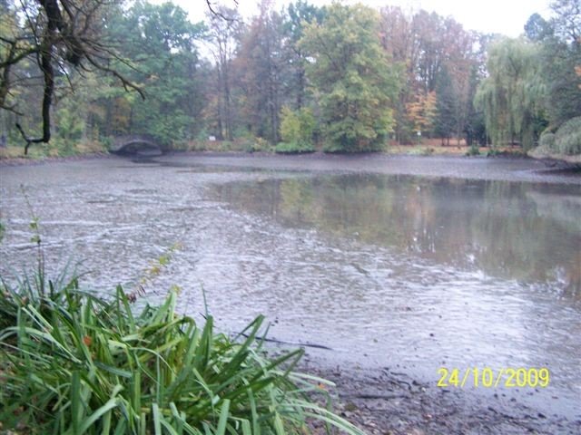 wedkarze-posprzatali-staw-23909