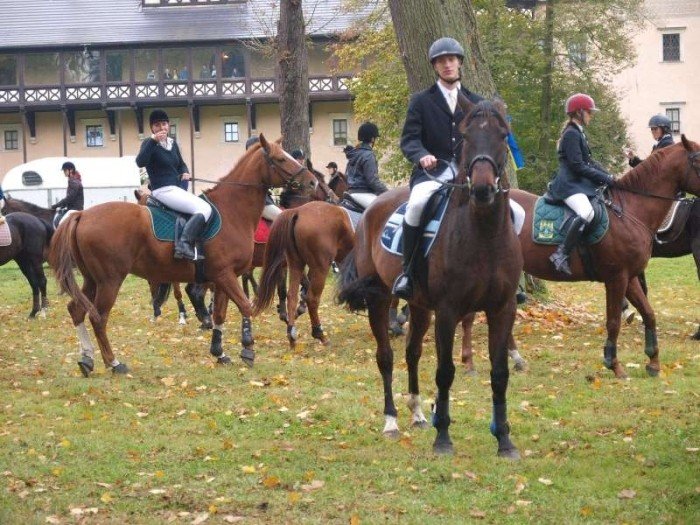owczy-ryczeli-jak-jelenie-23986