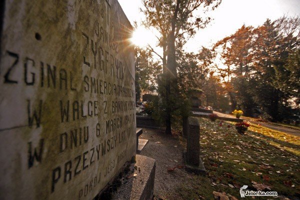 wieczne-odpoczywanie-na-wszystkich-swietych-24020