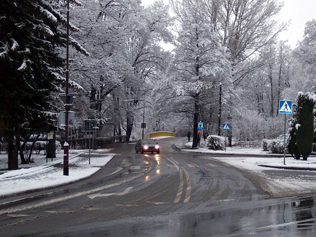 snieznie-na-dzien-dobry-2411