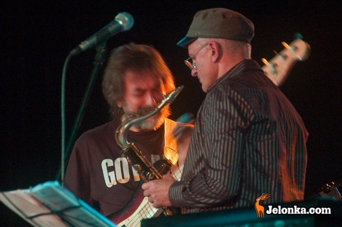 nadszed-czas-na-krokus-jazz-24245