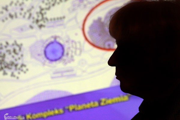 koncert-zyczen-utopistow-24347