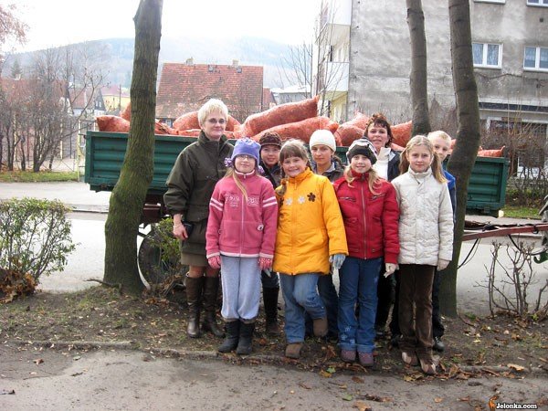 bronia-drzew-przed-groznym-pasozytem-24407