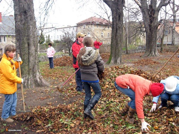 bronia-drzew-przed-groznym-pasozytem-24407