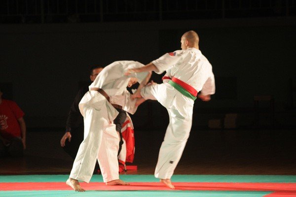 siedem-medali-jeleniogorskich-karatekow-24439