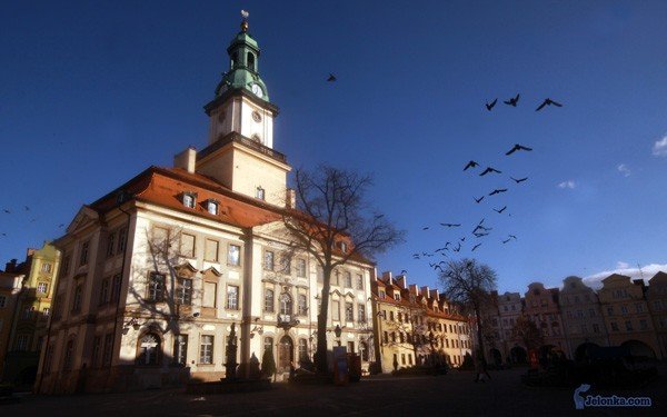 Ratuszowych gołębi – zdaniem naszego czytelnika – ubyło.
