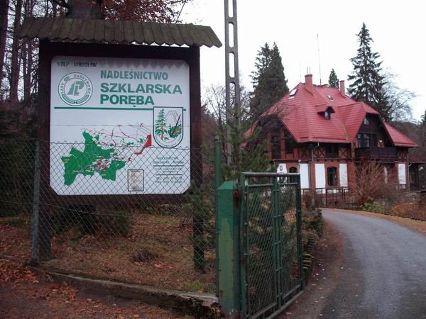 niech-las-powita-was-24521