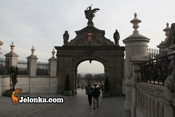 adwent-postanowienia-bez-przymusu-24585