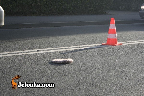 pechowa-rozyckiego-kolejne-potracenie-24635