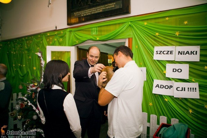 uczmy-sie-od-zwierzat-24805