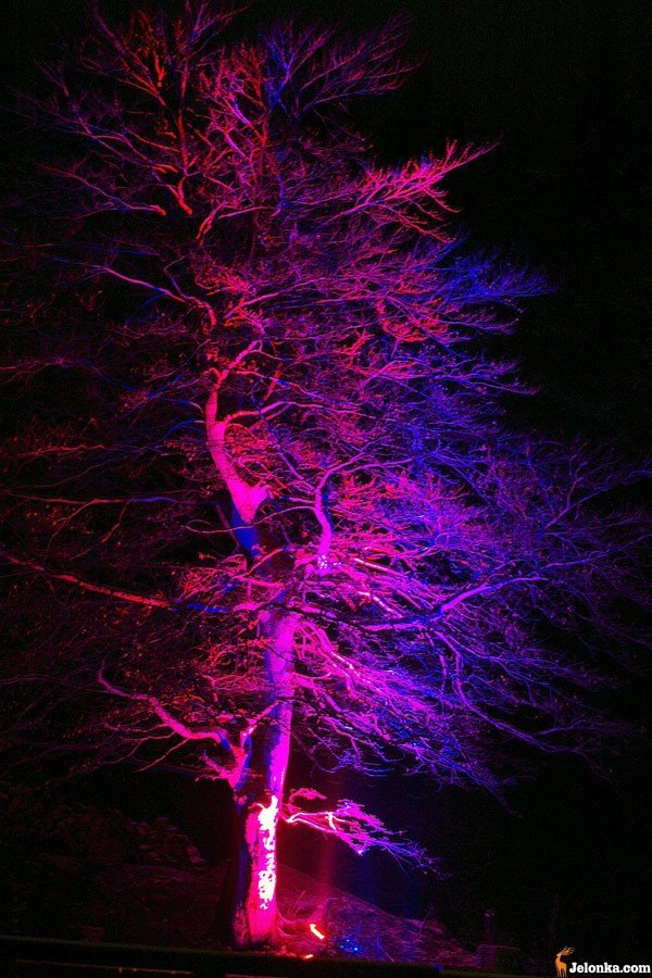 czarodziejski-zakatek-w-magicznej-iluminacji-24811