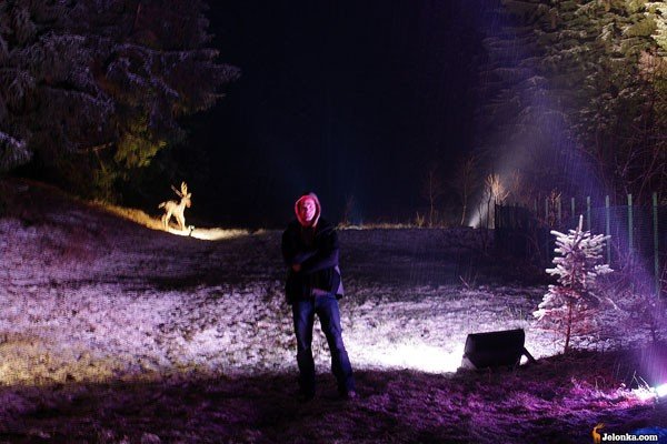 czarodziejski-zakatek-w-magicznej-iluminacji-24811