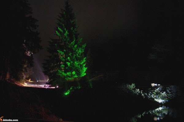 czarodziejski-zakatek-w-magicznej-iluminacji-24811