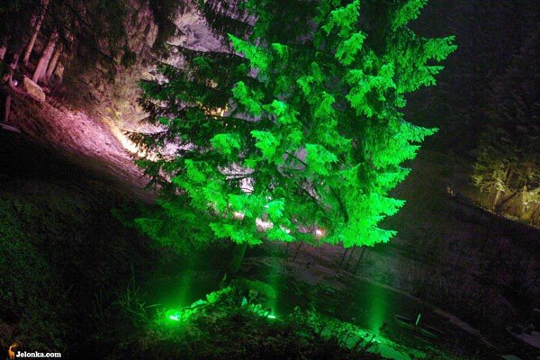 czarodziejski-zakatek-w-magicznej-iluminacji-24811