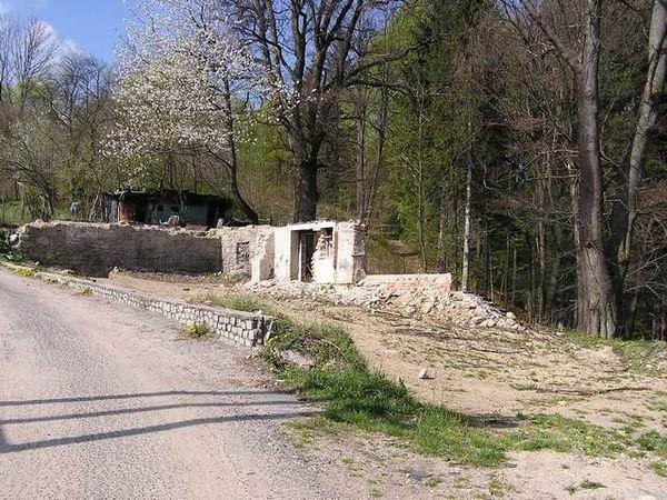 stowarzyszeniu-potrzebne-pieniadze-24849