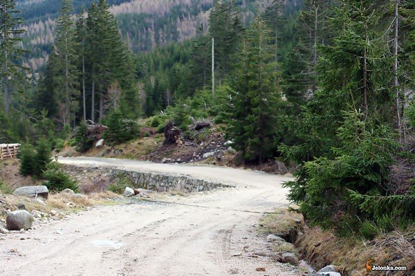 szlakow-nie-trafi-szlag-24876