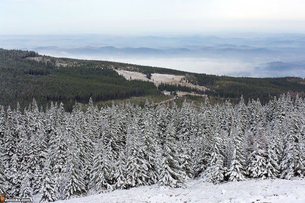 szlakow-nie-trafi-szlag-24876