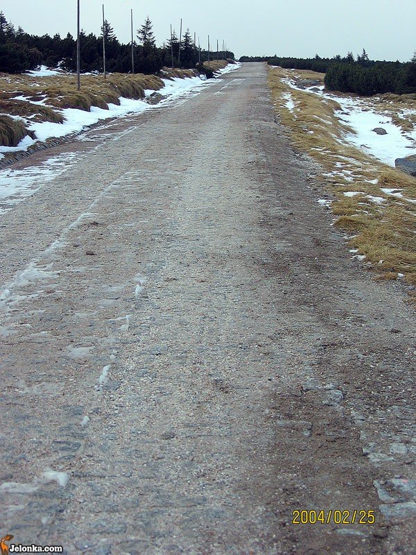 szlakow-nie-trafi-szlag-24876