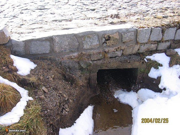 szlakow-nie-trafi-szlag-24876