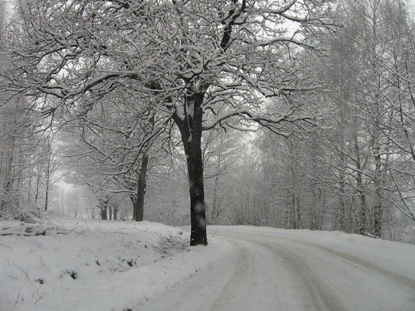 wyciac-nie-wyciac-rozmawiac-warto-24969