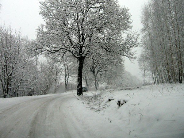 wyciac-nie-wyciac-rozmawiac-warto-24969