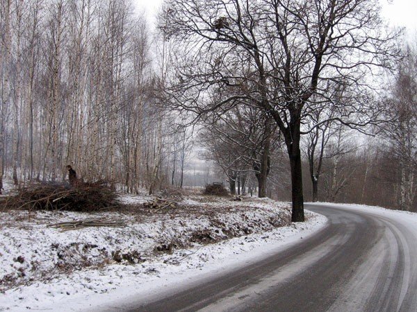 wyciac-nie-wyciac-rozmawiac-warto-24969