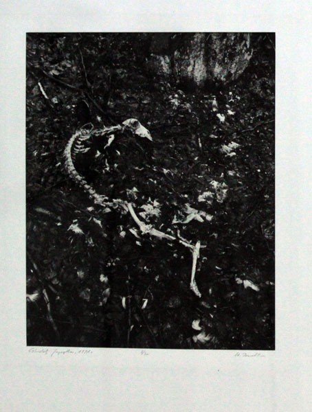 z-ciemni-mistrza-25194