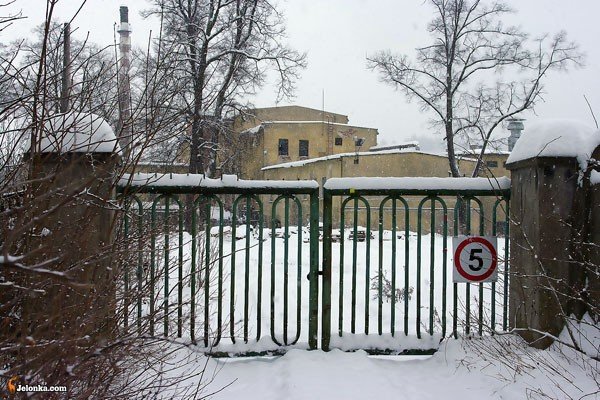 dochodza-do-siebie-po-tragedii-w-dabrowicy-25298