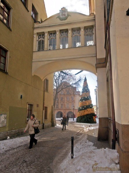 buszujacy-w-choince-25717