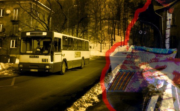 w-kleszczach-kanara-25770